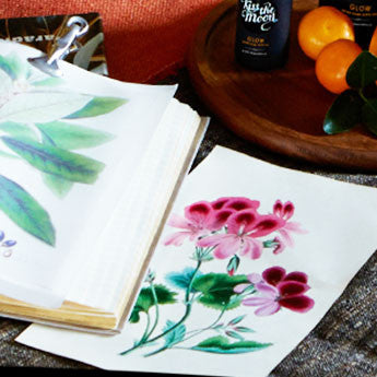 GERANIUM
