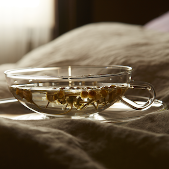 ROMAN CHAMOMILE