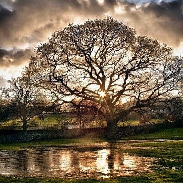 APPS TO HELP YOU EXPLORE THE GREAT OUTDOORS