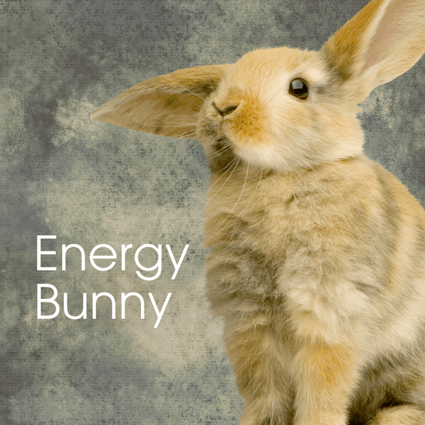 ENERGY BUNNY