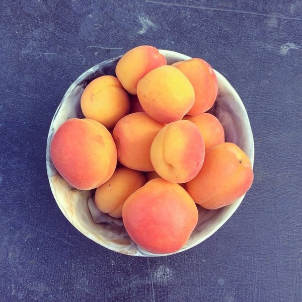 GET THE GLOSS - HOW TO BEAT THE POST SUMMER BLUES