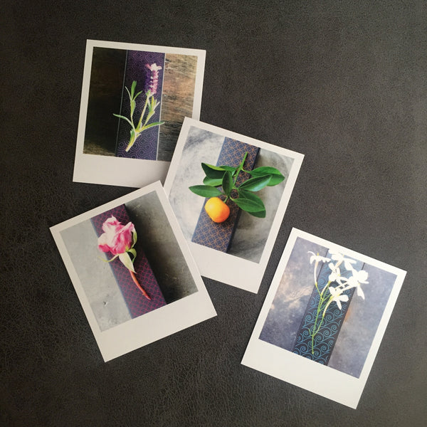 OUR FOUR FLORAL SLEEP HEROES