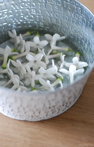 In praise of Jasmine