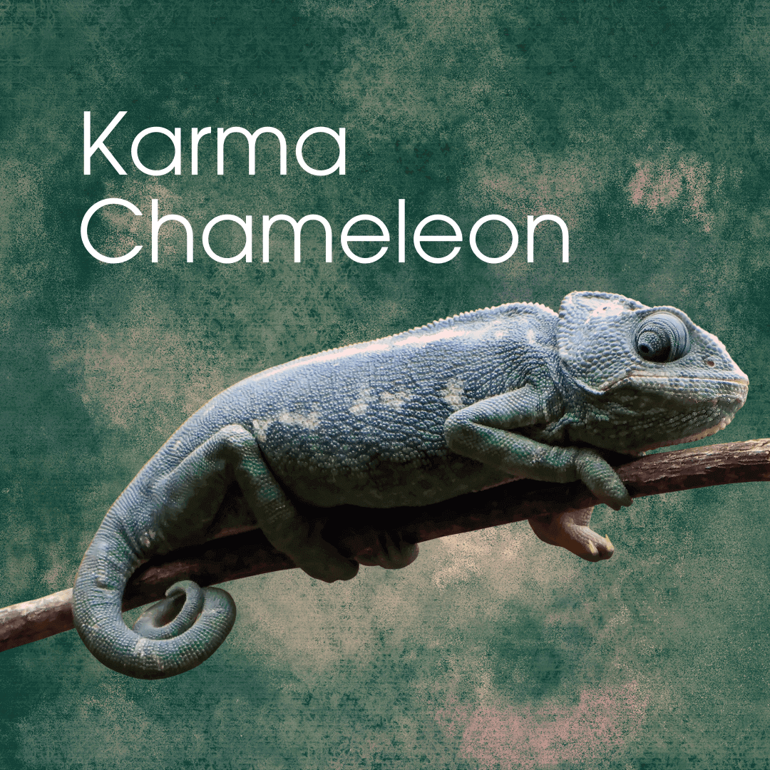 QUIZ Kiss The Moon Karma Chameleon 