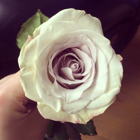 HOW SMELL IS LINKED TO SLEEP