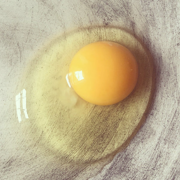 SUNSHINE FOOD
