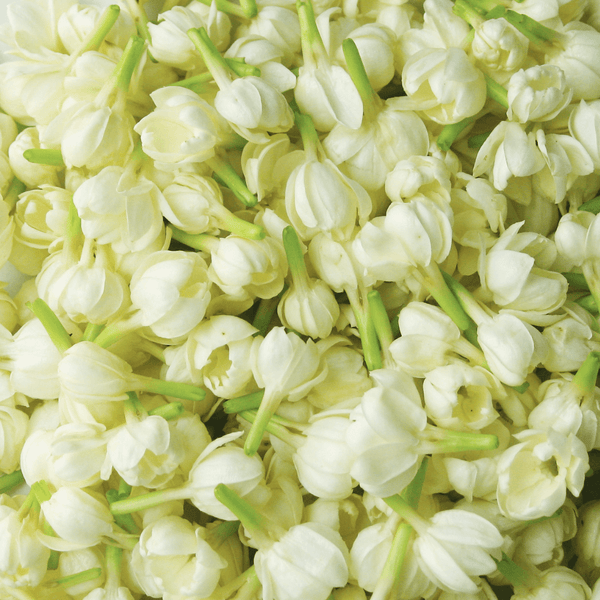 LOOKING FOR MENOPAUSE SUPPORT?