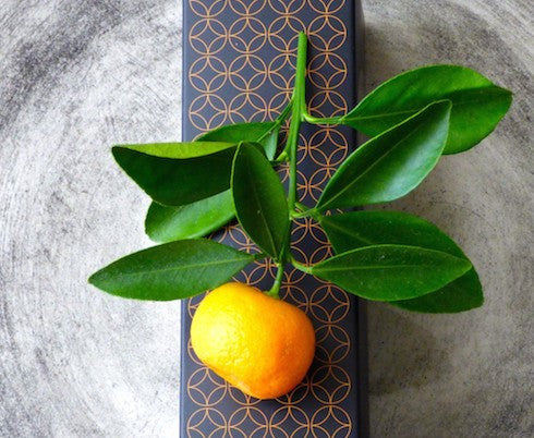 JOIN THE GLOW FAN CLUB: ONE YEAR ON...