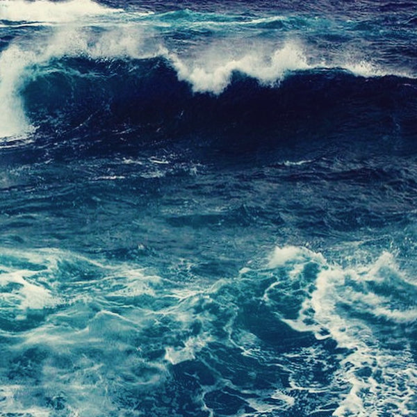 THE MICROBEAD INVASION