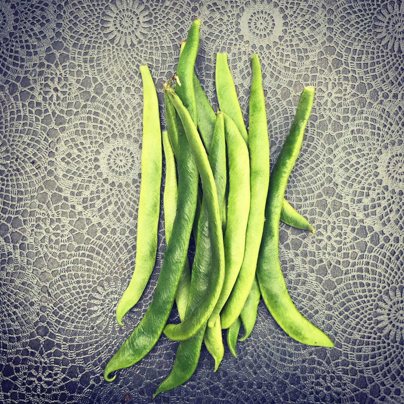 RUNNER BEANS