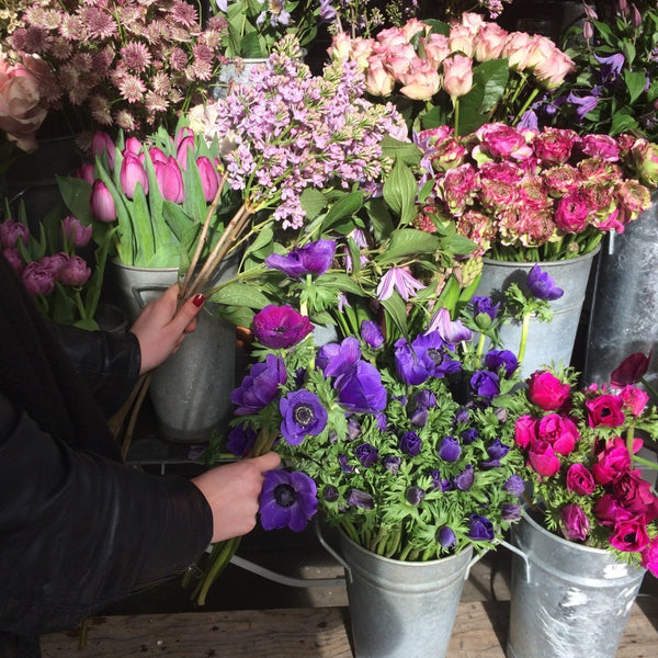 GUEST BLOG: Wild at Heart for Kiss The Moon